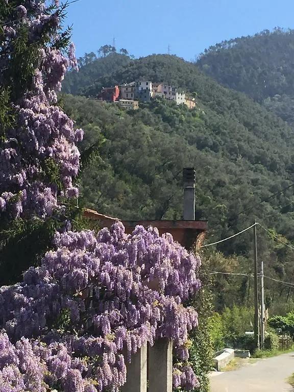 Holiday home Five Lands Pink Cottage Levanto Italy
