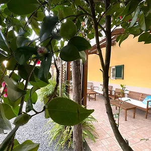 Creuza De Mae Pensión